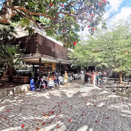 דירה Home2book Stylish & Luminous Cruz Center סנטה קרוז דה טנריף